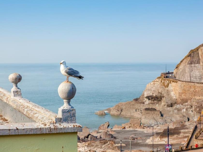 2Thevilla - Great Views, 3 Bedrooms, Parking, Central Location Ilfracombe Εξωτερικό φωτογραφία
